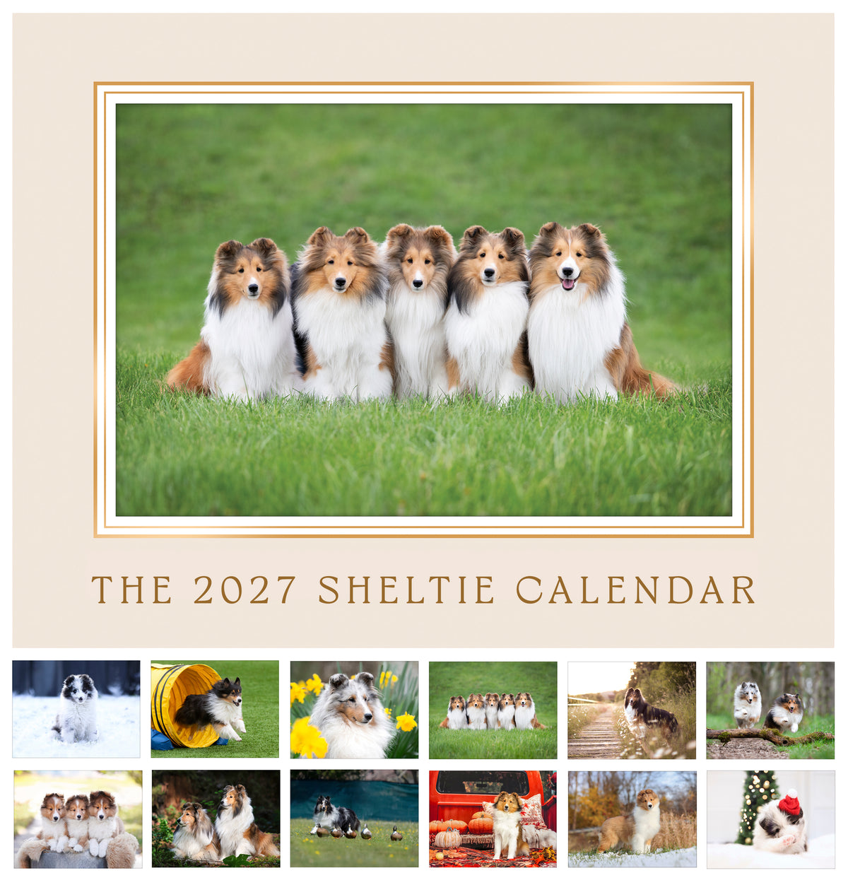 Sheltie Calendar