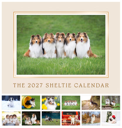 Sheltie Calendar